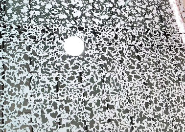 Un bon prix. Le revêtement de PVD/a coloré la feuille laminée à froid 201 d'acier inoxydable pour la décoration en ligne